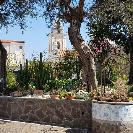 Villa Kalimera Sorrento Buitenkant foto