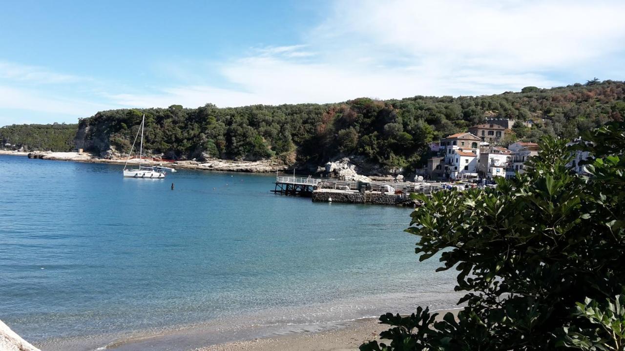 Villa Kalimera Sorrento Buitenkant foto