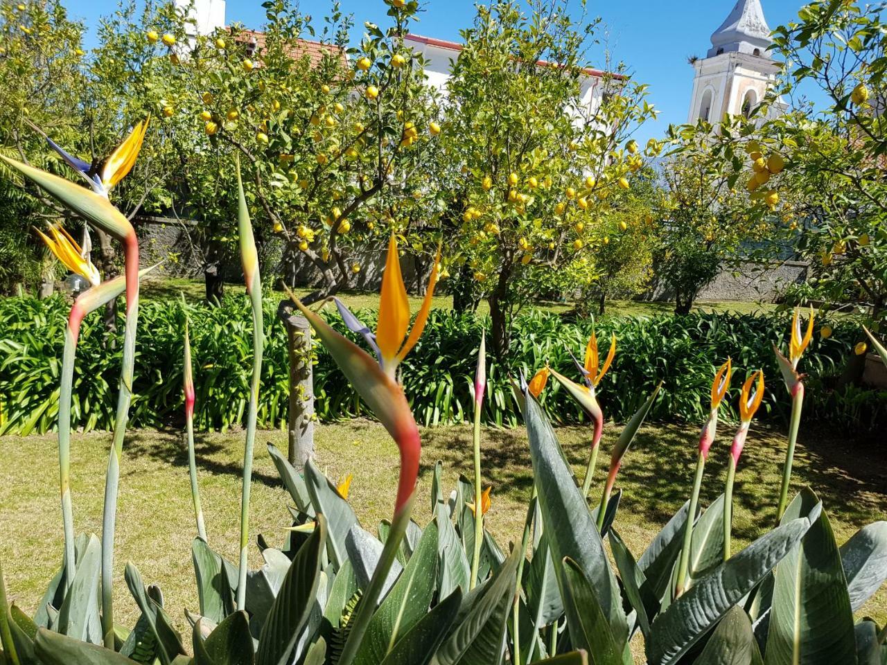 Villa Kalimera Sorrento Buitenkant foto