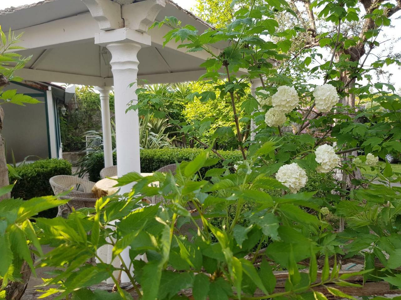 Villa Kalimera Sorrento Buitenkant foto