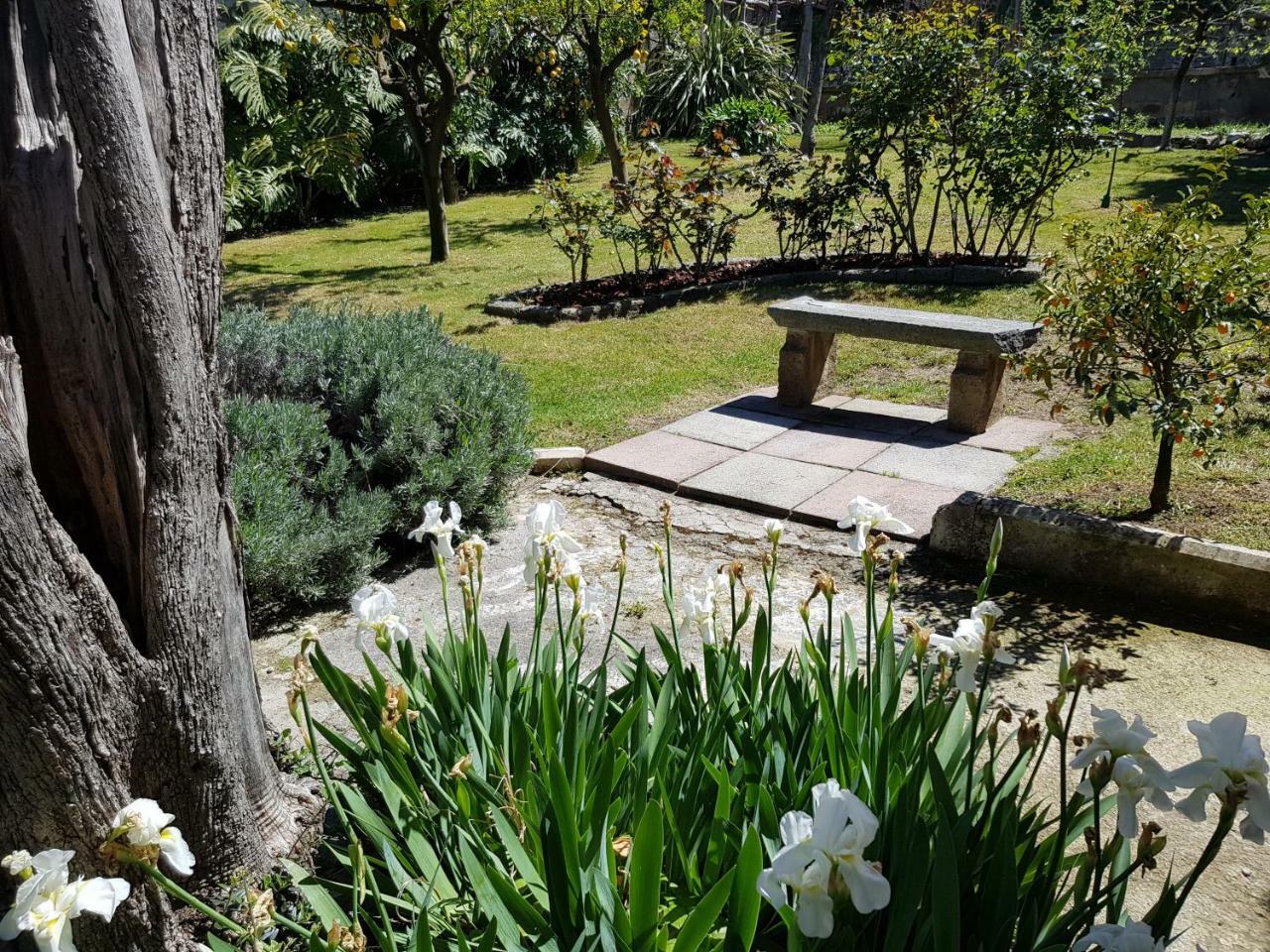 Villa Kalimera Sorrento Buitenkant foto