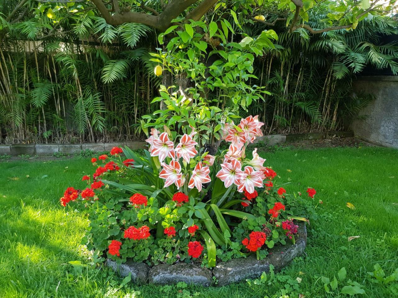 Villa Kalimera Sorrento Buitenkant foto