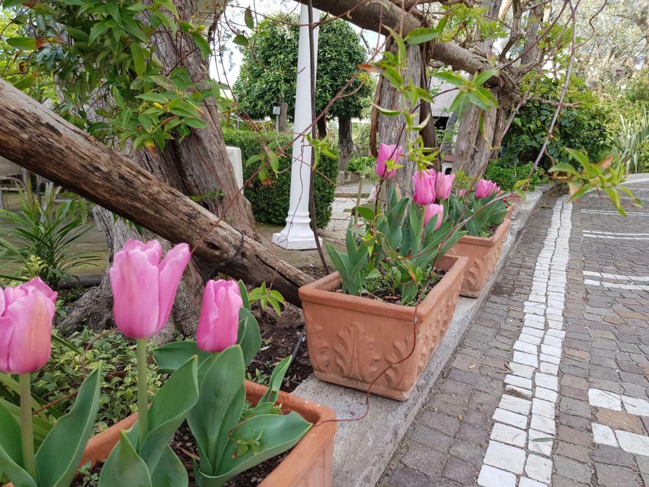 Villa Kalimera Sorrento Buitenkant foto